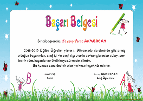 Başarı Belgesi 216