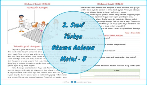 2. Sınıf Türkçe Okuma Anlama Metni - 8