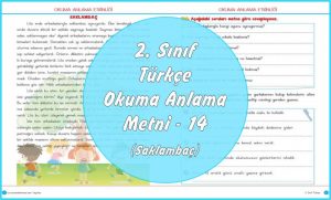 Okuma Anlama etkinlikleri