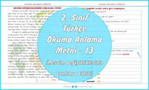 2. Sınıf İçerikleri