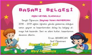 word başarı belgesi