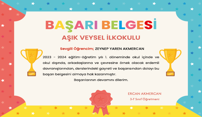 Başarı Belgesi 221