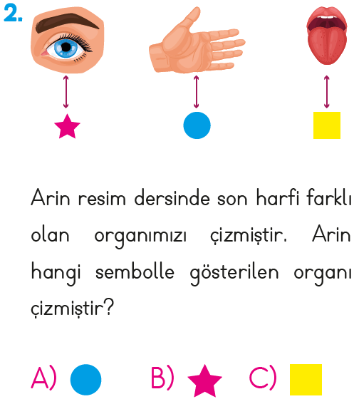 1. Sınıf Harf - Hece Bilgisi Test 1